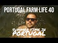 Portugal Farm Life - 40 - Enjoying the Portuguese Summer Time