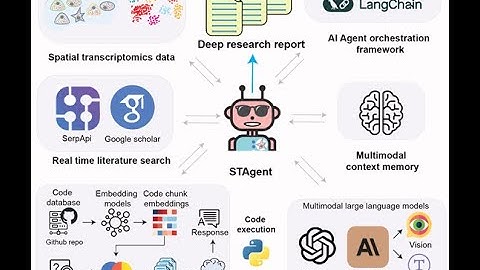 HIRN Webinar: STAgent: Autonomous Spatial Transcriptomics AI Agent for Pancreatic Research & Beyond
