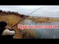 Ловля щуки на живца. Закрытие сезона. Щука на поплавок.