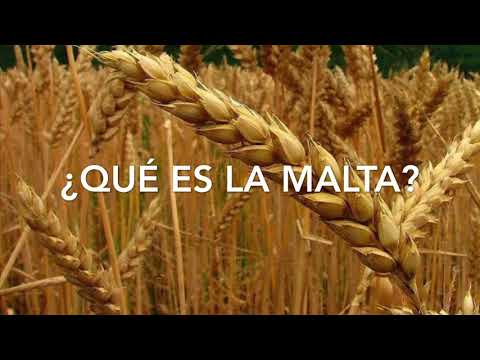 Vídeo: Diferencia Entre Cerveza Y Licor De Malta