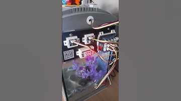 Projet Aquarium - Vidéo mise en service - 03