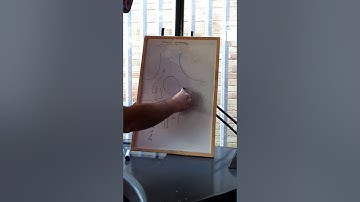 BUS DRIVING ROUNDABOUTS