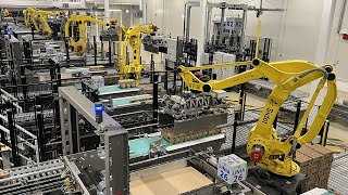 Ep. 3 - High automation & modularity for Unilever central palletizing installation