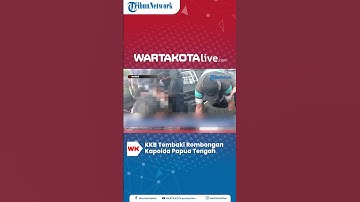 KKB Tembaki Rombongan Kapolda Papua Tengah, Kasat Narkoba Polres Nabire Terluka