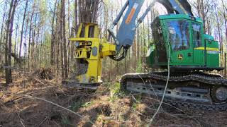 Working Pine First Thinning, John Deere 853M Track Cutter