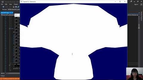 Intermediate OpenGL Tutorial 12   OpenGL Extensions   Cecil