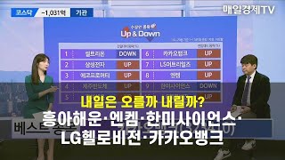 [수상한 종목 UP&DOWN] 내일은 오를까 내릴까? 흥아해운·엔켐·한미사이언스·LG헬로비전·카카오뱅크 김민수 , 레몬리서치 대표