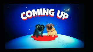 Disney Junior Coming Up Bumper Puppy Dog Pals Low Quality Us And Canada Nighttime Variant 2017