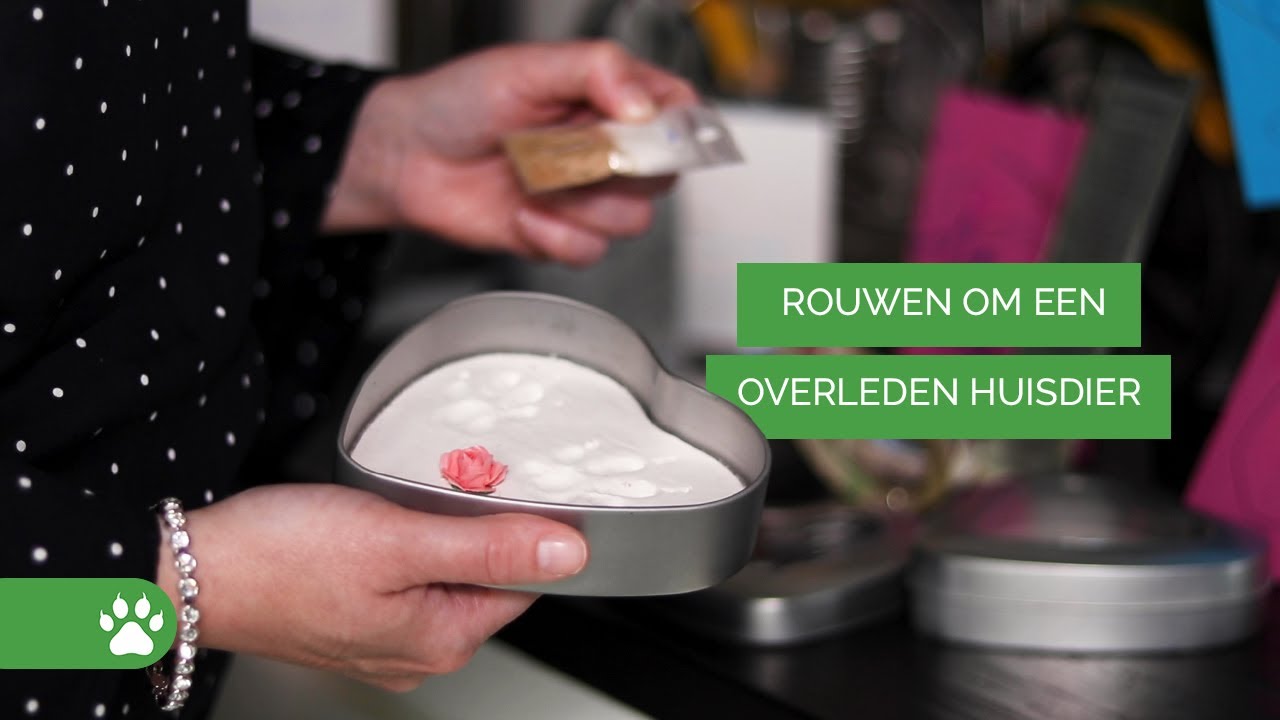 Rouwen om je overleden huisdier - Rouw #3