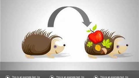 Animals Diagrams for PowerPoint