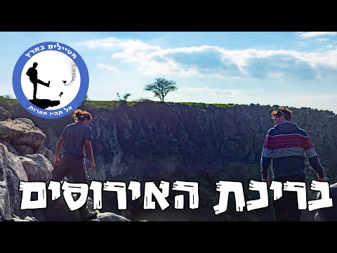 וִידֵאוֹ: בריכה בארץ