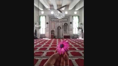 (فكيفَ تتقونَ إِن كَفَرْتُمْ يَوْمًا يَجْعَلُ الْوِلْدَانَ شِيبًا ) تلاوة بصوت الشيخ محمد الحمود