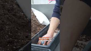 Jak nawozić supertunie 🌸💪 Bez tego nie będzie efektu WOW