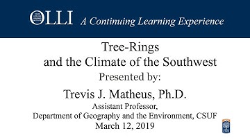 Eclectics Tree Rings