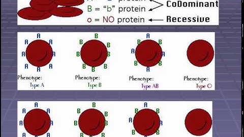 Patterns of Inheritance Lecture