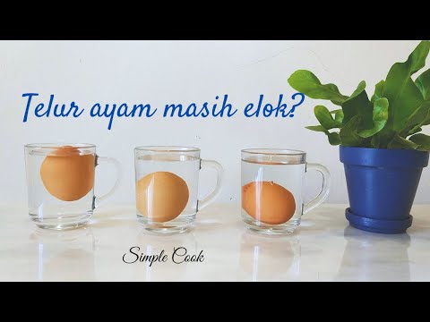 Video: Selam anak benih - apakah itu?