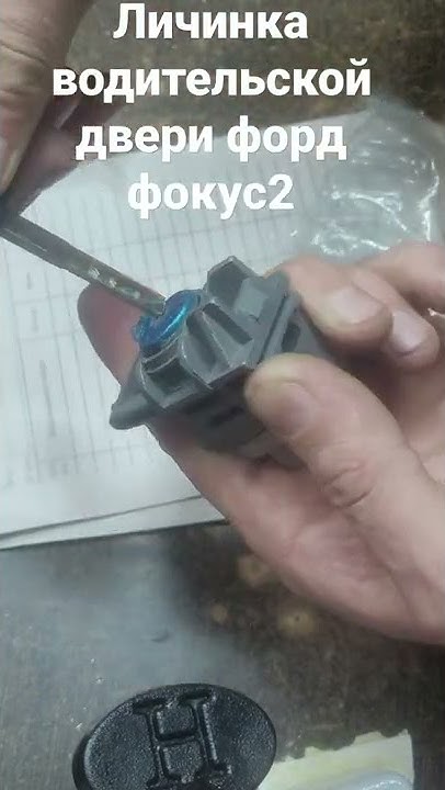 комплект личинок - поиск