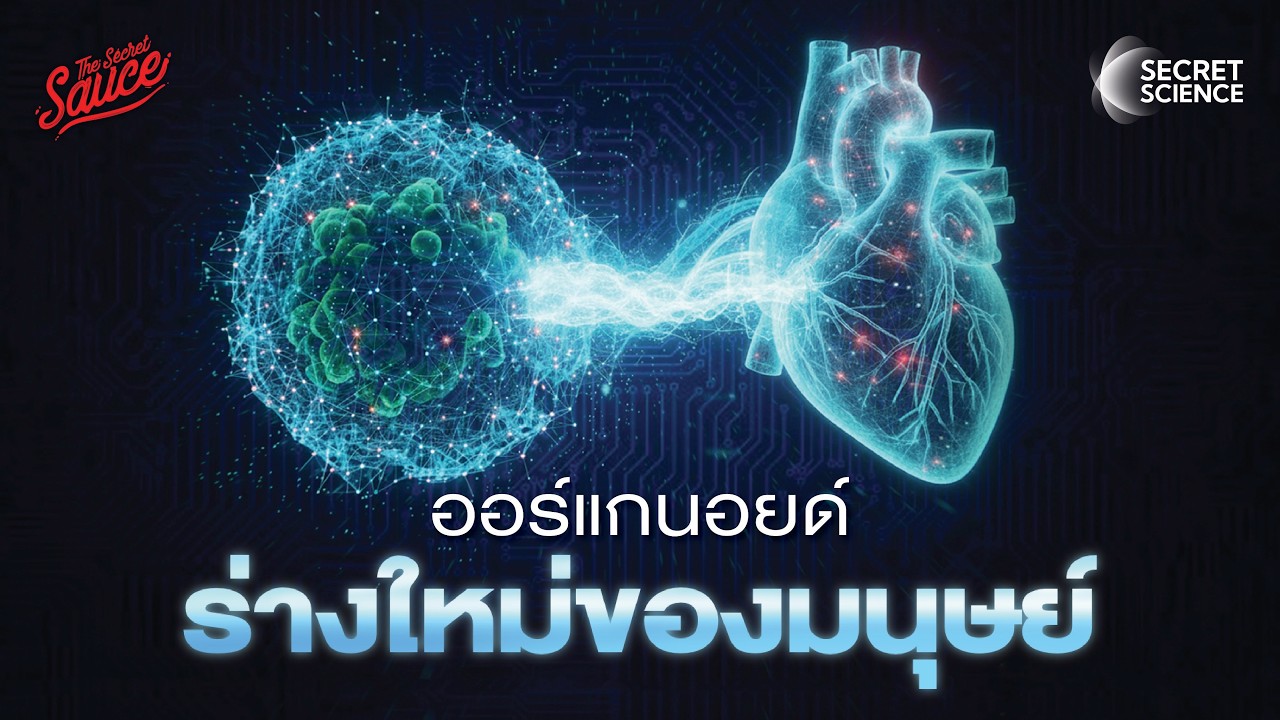 Organoid อวัยวะจิ๋ว กำเนิดร่างที่สองของมนุษย์ | Secret Science EP.23