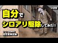 自分でシロアリ駆除してみた！ ～空き家再生編＃29～