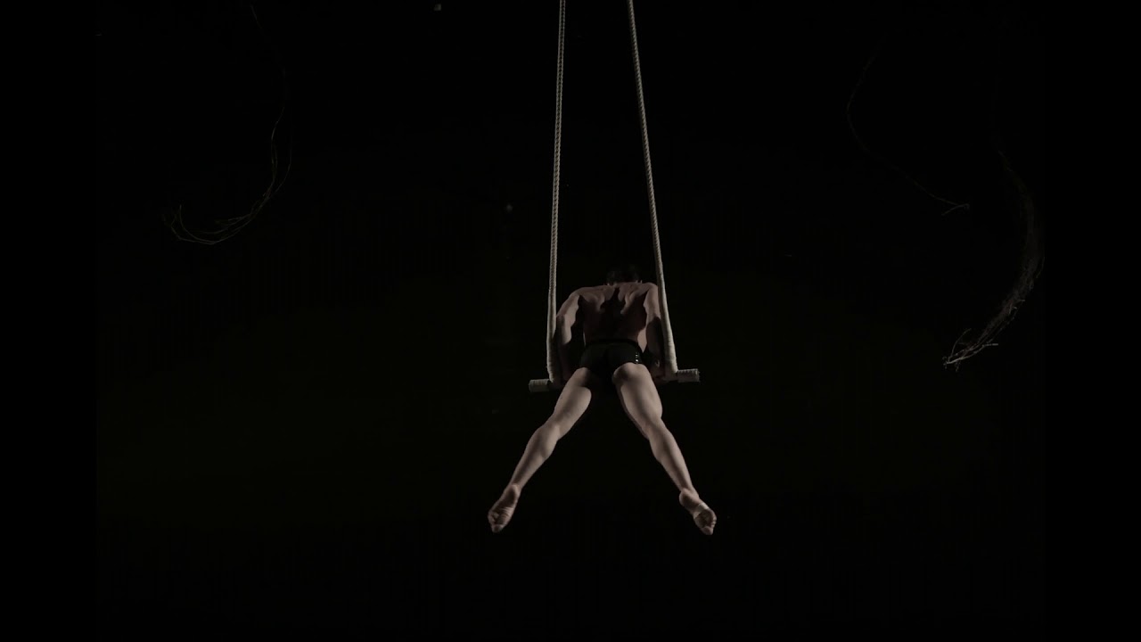 Arthur Dance-Trapeze