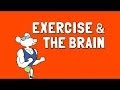 Exercise and Mental Health Quiz