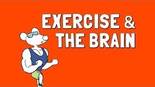 Wellcast - Exercise and the Brain