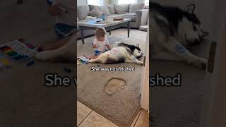 she Drew On Him For 20 Minutes  He Let Her Finish  Washable Markers  🐕👧