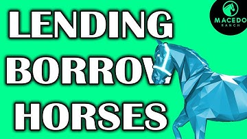 Zed Run Horse Lending And Borrowing | Virtual Horse Racing Game | Zed Run Tips For Beginners