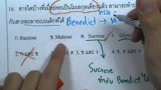 ormBio 151 : ชีวเคมีพื้นฐาน-แบบฝึกหัดชีวเคมี ,ตอน06