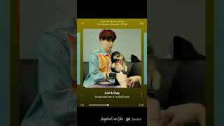 kpop memes as kpop songs |#kpop #bts #txt #seventeen #superjunior #skz #shorts #edit #memes #funny