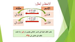 درس الإملاء الألف اللينة مقصورة و ممدودة