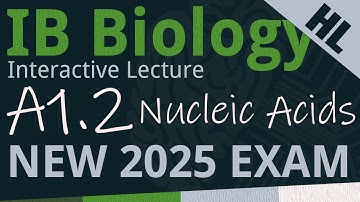 IB Biology A1.2 - Nucleic Acids [AHL] - Interactive Lecture 2025-2033