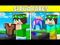 SI PUÒ FARE SU MINECRAFT?