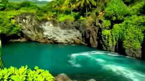 سوره نوح محمد حويج