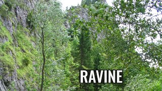 Ravine