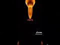 محتاجك حيدر الغزال   اكسبلور   تيك توك ترند لايك