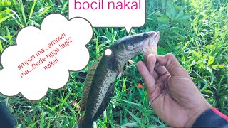 Bocil Nakal Tertangkap Basah