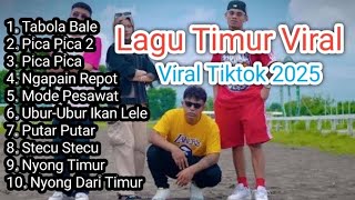 Playlist Lagu Timur Viral Tiktok 2025 | Tabole Bale | Pica-pica 2 | Ngapain Repot | Nyong Dari Timur