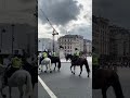 Police 👮‍♂️ riding horses 🐎 in London #horse #shorts #shortsfeed #youtubeshorts #youtubecreator