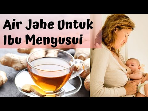 Bolehkah Ibu Menyusui Minum Air Jahe?