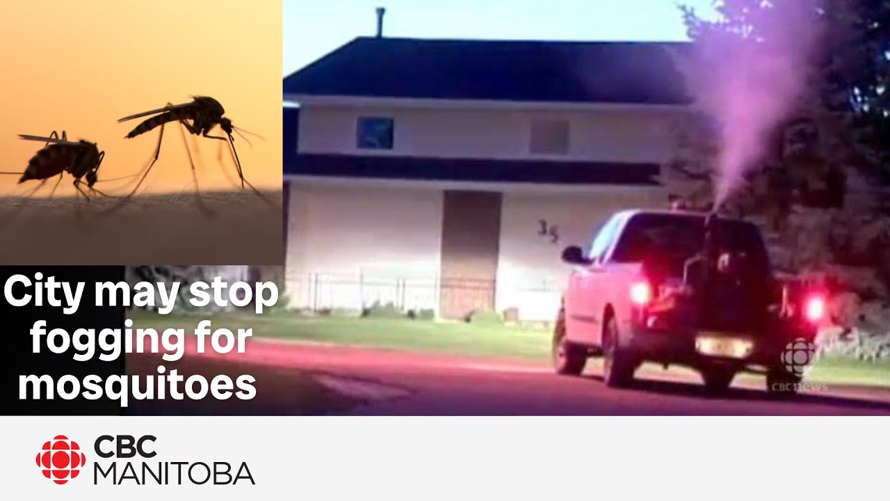 Winnipeg may stop fogging for adult mosquitoes once existing pesticide