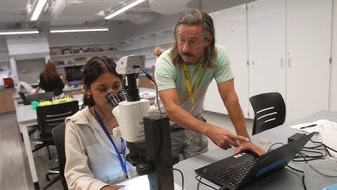 NH CREATES: Cultivating Interest and Expertise in Regenerative Medicine and Biofabrication