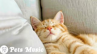 Soothing Music for Cats with Anxiety and Stress Relief | Cat Sleep Music