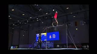 Rhine-Ruhr Summer University Games Men's Horizontal Bar - Wong Yuk Lam (HKG)