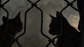 CARA MEMBUAT DATABASE SISWA DI HP ANDROID DENGAN MENGGUNAKAN APPSHEET