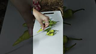 Vegetable#foodrecipe#viralshort #viralvideo #viralclip #hadessmubarak #cooking