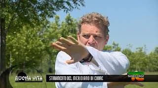 Bilanciare la testa e il bacino per calmare il fuoco del cuore 24.06.2020