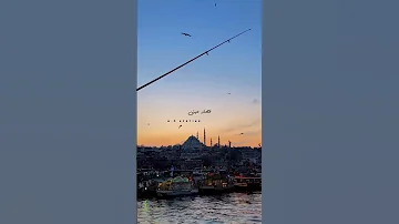 قصاد عينى حاله واتس عمرو دياب 