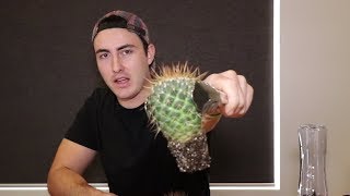 Youtuber Drinks a Cactus for Revenue