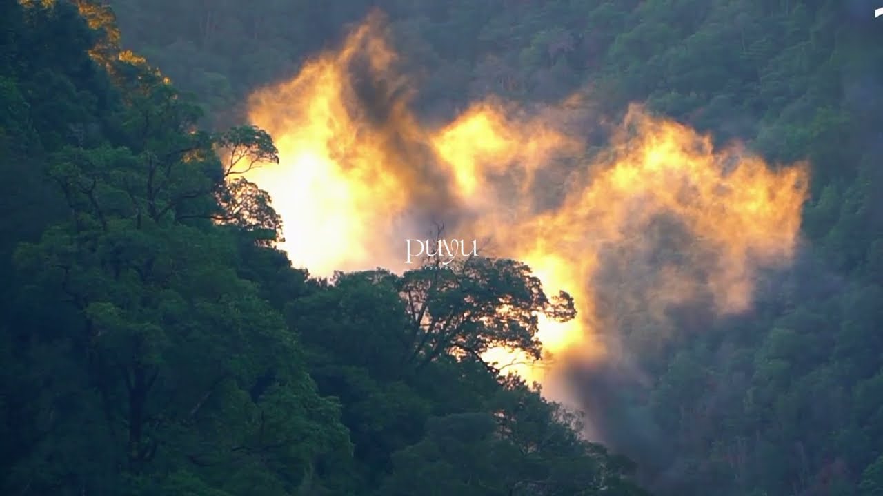 Wuyishan Tea & Wellness Retreat | TCM Healing & Nature Escape in China’s Mountain Sanctuary